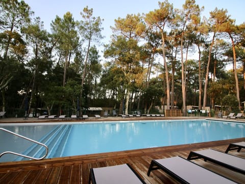 Water, Furniture, Sky, Swimming Pool, Sunlounger, Tree, Chair, Outdoor Furniture, Shade, Rectangle