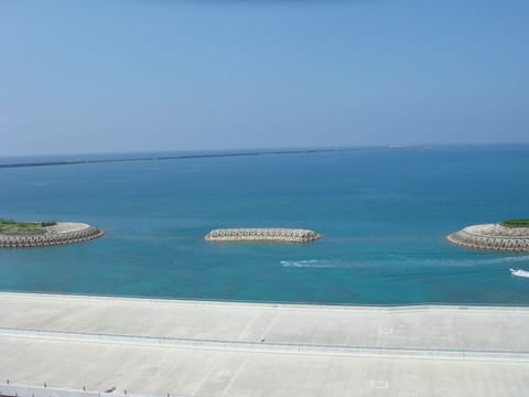 Beach/ocean view