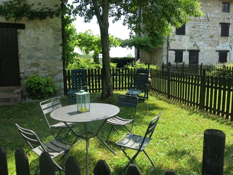 Plant, Property, Furniture, Nature, Building, Chair, Window, Tree, Lighting, Table