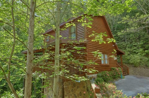 Choose Reclusive Moose for your family’s Gatlinburg & Pigeon Forge vacation!