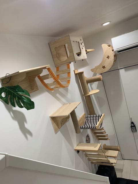 Designer's Apartment - Pet Friendly (Additional Fee) | 1 bedroom, down comforters, desk, blackout drapes