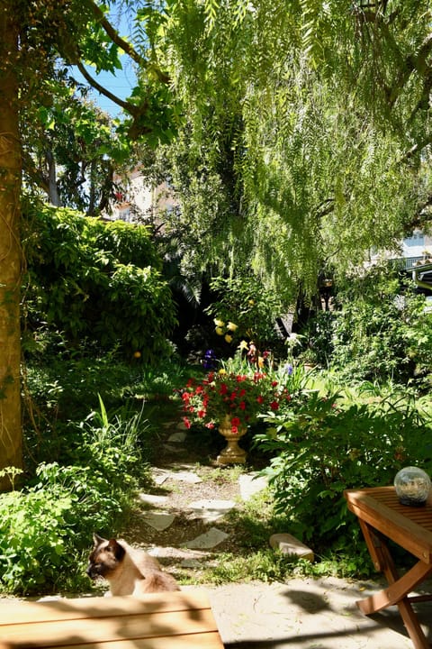 Deluxe Suite, Ensuite, Garden View (Villa Prétorina) | Garden