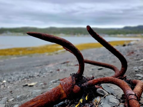 Anchors at Uncle John's Channel on the beach by The Blackfin