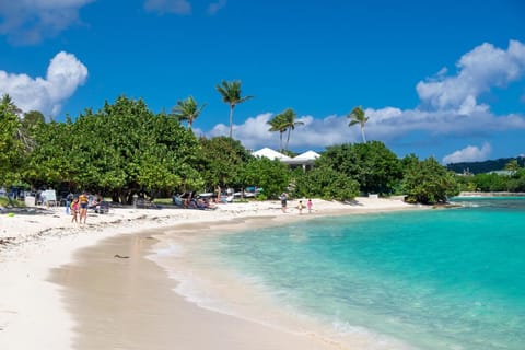 Beach in front of condo complex