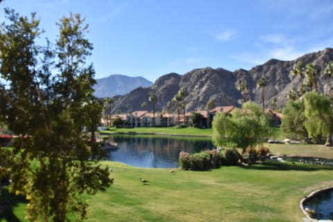 patio view
