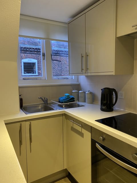 Premium Apartment | Private kitchen | Fridge, microwave, oven, stovetop