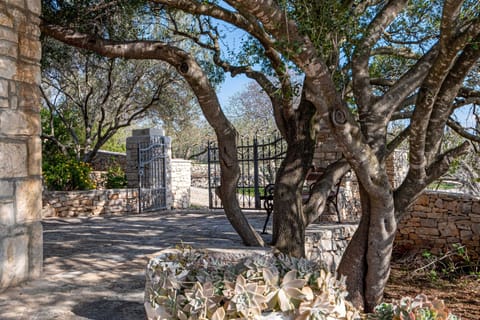 House (Two Bedroom Holiday Home with Terrace) | Property amenity