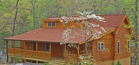 Frontal view of the cabin