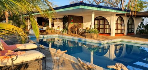 Swimming pool and gardens