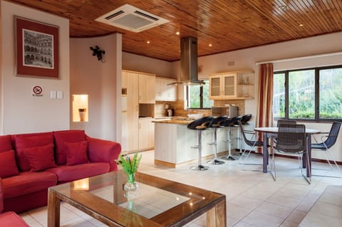 Villa | Living area | Flat-screen TV, fireplace