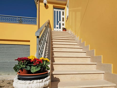 Plant, Flower, Building, Property, Stairs, Wood, Window, Orange, Door