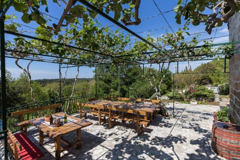 House (Two Bedroom Apartment with Terrace) | Terrace/patio