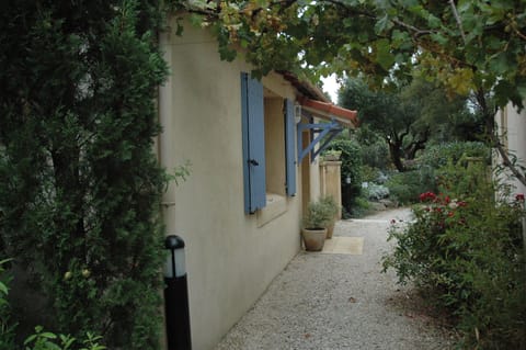 Walkway under grapes to entrance
