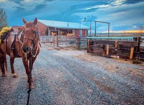 Welcome to Heart Strings Ranch, a unique Wyoming stay awaits!