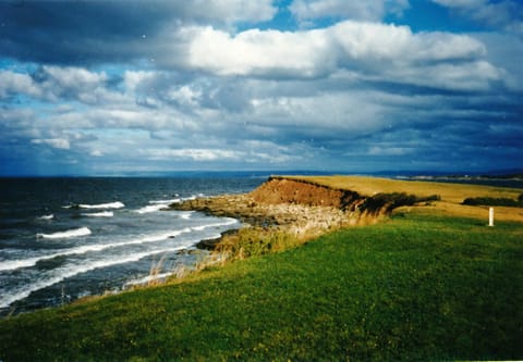 Black Point (5 minute walk with spectacular 360 view - caution, banks are steep)