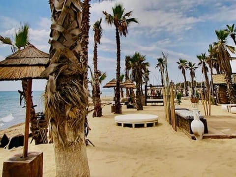 Beach nearby, sun loungers, beach umbrellas, windsurfing