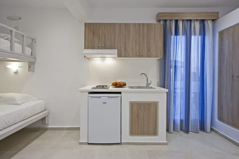 Family Studio, Balcony, Sea View | Private kitchenette | Mini-fridge, stovetop, cookware/dishes/utensils