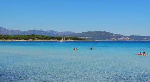Beach nearby, white sand