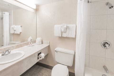 Free toiletries, hair dryer, towels