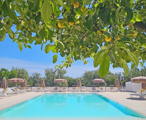 Seasonal outdoor pool, pool umbrellas, sun loungers