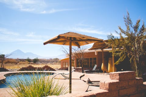 Outdoor pool, sun loungers