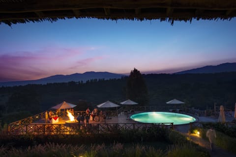Outdoor pool, pool umbrellas, sun loungers