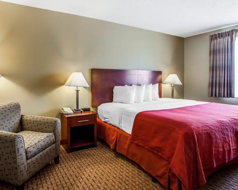 Standard Room, 1 King Bed, Non Smoking | Premium bedding, pillowtop beds, desk, iron/ironing board