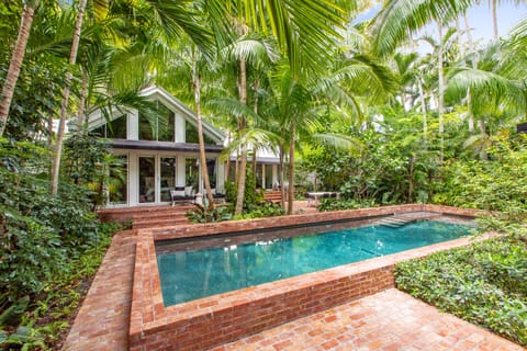 Welcome to The Ficus House!