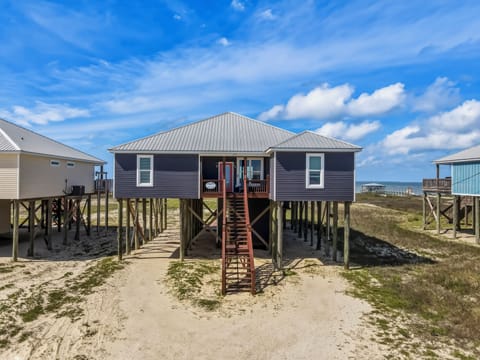 Elevated beach house on stilts with metal roof, positioned among coastal dunes with neighboring properties nearby.