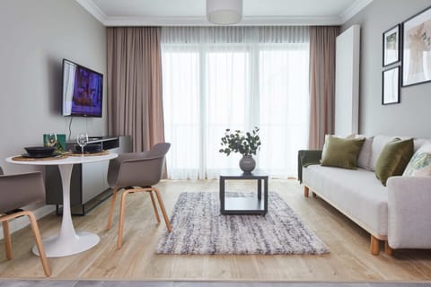 Comfort Apartment | Living room | 30-inch flat-screen TV with cable channels, TV