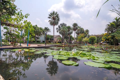 Lake