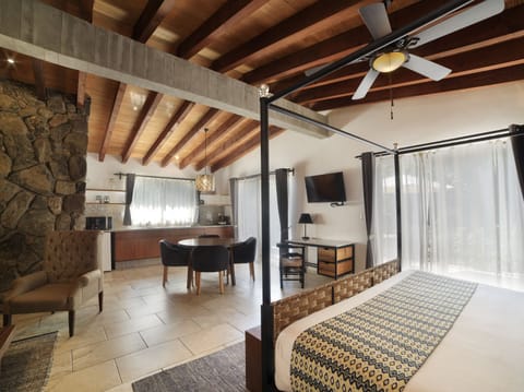 Superior Suite, 1 Queen Bed with Sofa bed, Jetted Tub | Living area | 32-inch TV with satellite channels, Netflix, streaming services