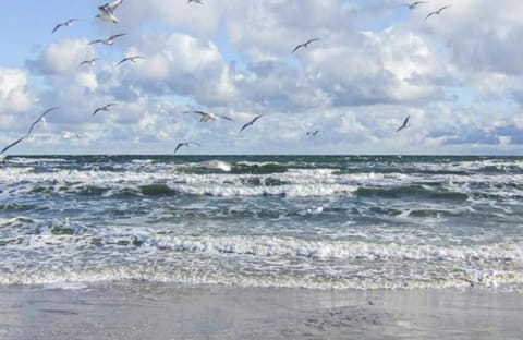 Apartment | View from property