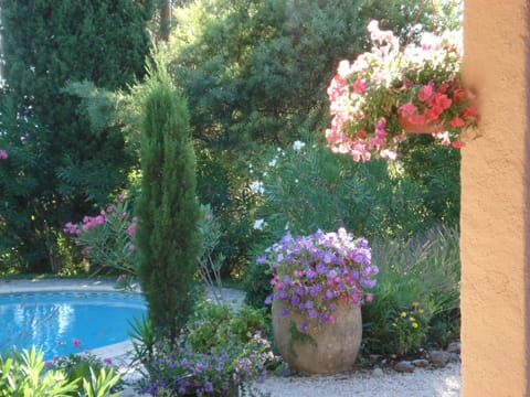 Villa | Garden