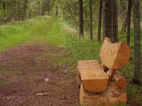 Hiking trails to Lake Superior & Amnicon River