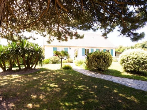 Plant, Property, Building, Window, Tree, Land Lot, Sky, Natural Landscape, Grass, Landscape