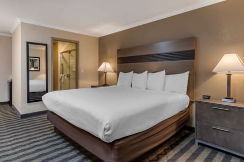 Standard Room, 1 King Bed, Non Smoking, Refrigerator & Microwave (Shower Only) | Desk, laptop workspace, blackout drapes, iron/ironing board