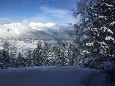 Panoramic view - Gallery **** - Maisonette apartment ****, 3 bedrooms, 2 bathrooms, 2 balconies.., Apartment in Canton of Grisons