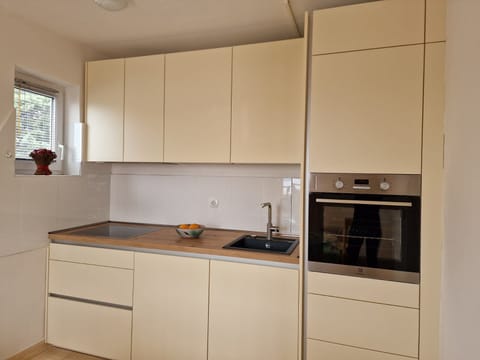 Apartment, 2 Bedrooms, Smoking, Balcony | Private kitchen
