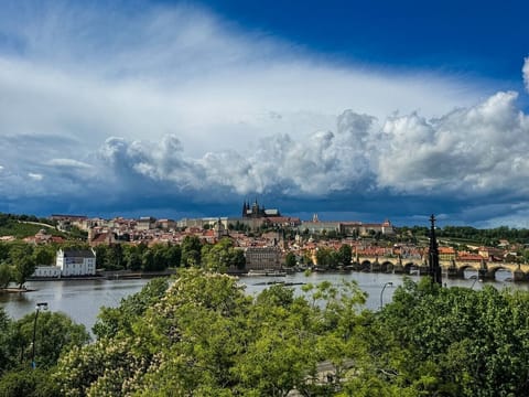 View of the Prague panorama from the skylight.