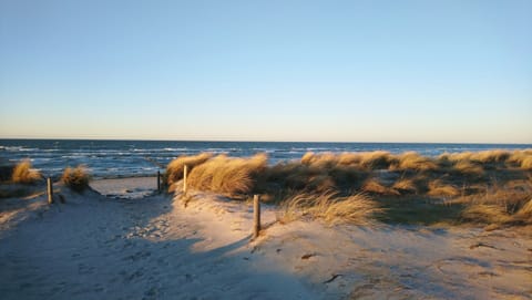 House | Interior detail