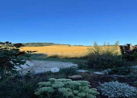House | View from property