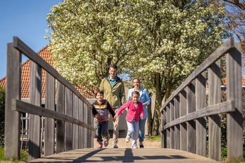 House | Property grounds