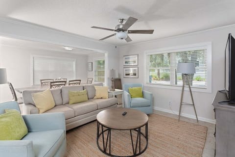 Bright living room with sofa, coffee table, and rug