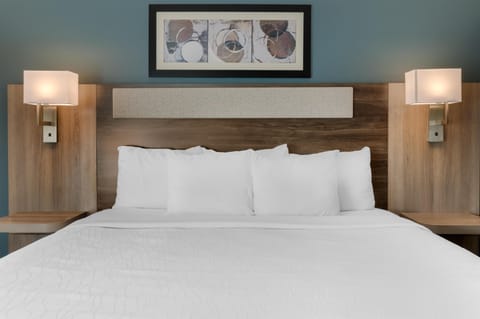 Standard Room, 1 King Bed, Non Smoking, Refrigerator & Microwave (with Sofabed) | Desk, blackout drapes, soundproofing, iron/ironing board