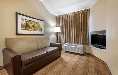 Apartment, 1 Queen Bed with Sofa bed, Non Smoking, Refrigerator & Microwave | Desk, laptop workspace, iron/ironing board, free WiFi