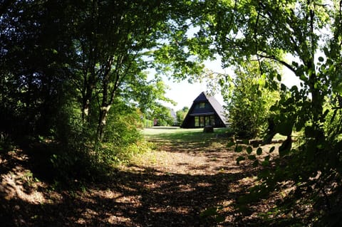 House | Garden