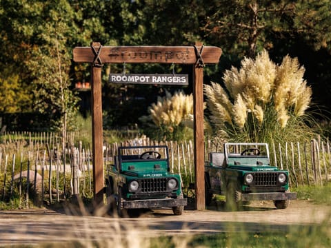 House | Property grounds