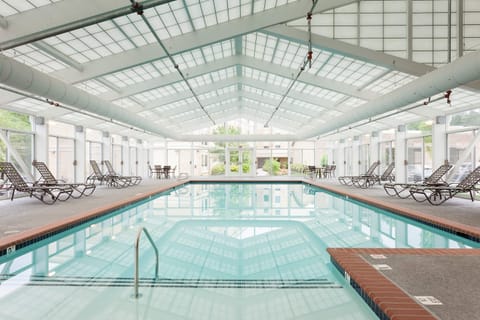 Indoor pool, sun loungers