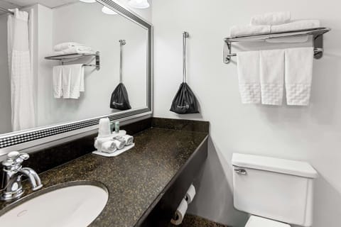 Combined shower/tub, eco-friendly toiletries, hair dryer, towels